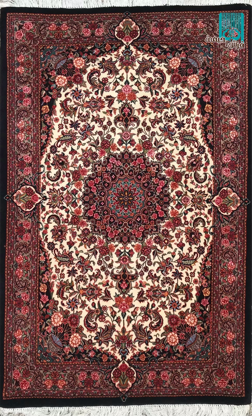 دوذرعی بیجار طرح ترنج خورشیدی