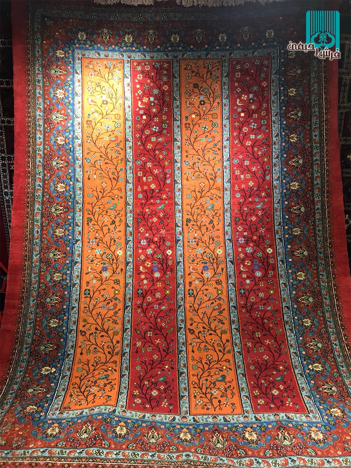 شش متری قشقایی طرح رویش